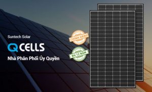 pin-qcell-pin-nlmt-qcells