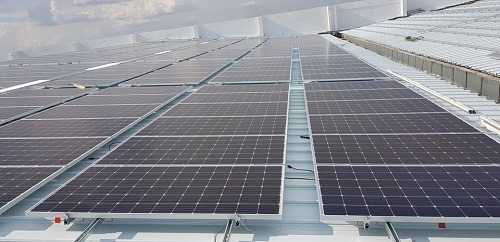 Pin mặt trời bền nhất 2025